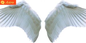 Read more about the article 1121 Angel Number