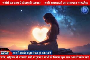 Read more about the article Love Problem Solution Expert Astrologer